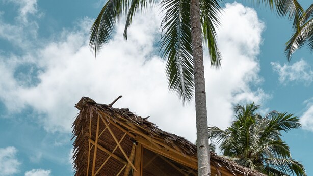 Un espace aménagé au bord de la piscine, avec une structure à toit de chaume, des palmiers et un ciel dégagé.