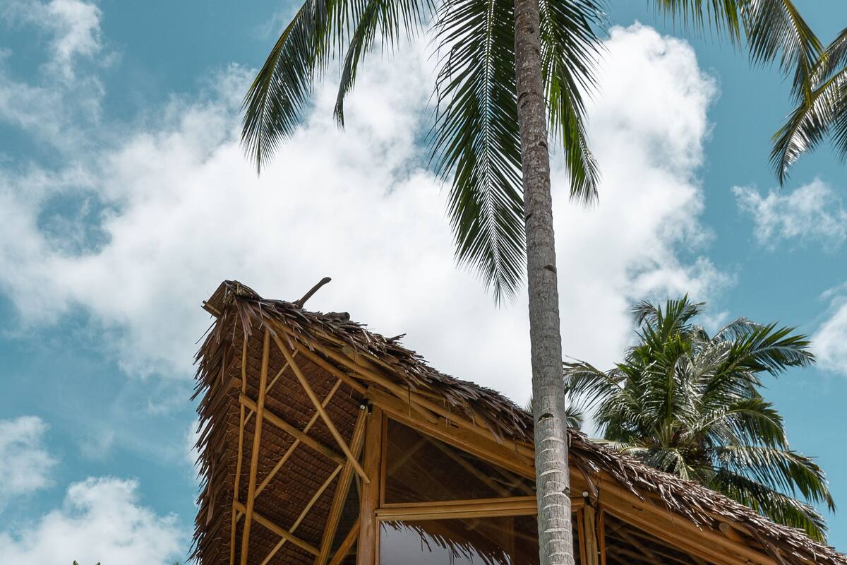 A poolside area with a thatched-roof structure, palm trees, and a clear sky.