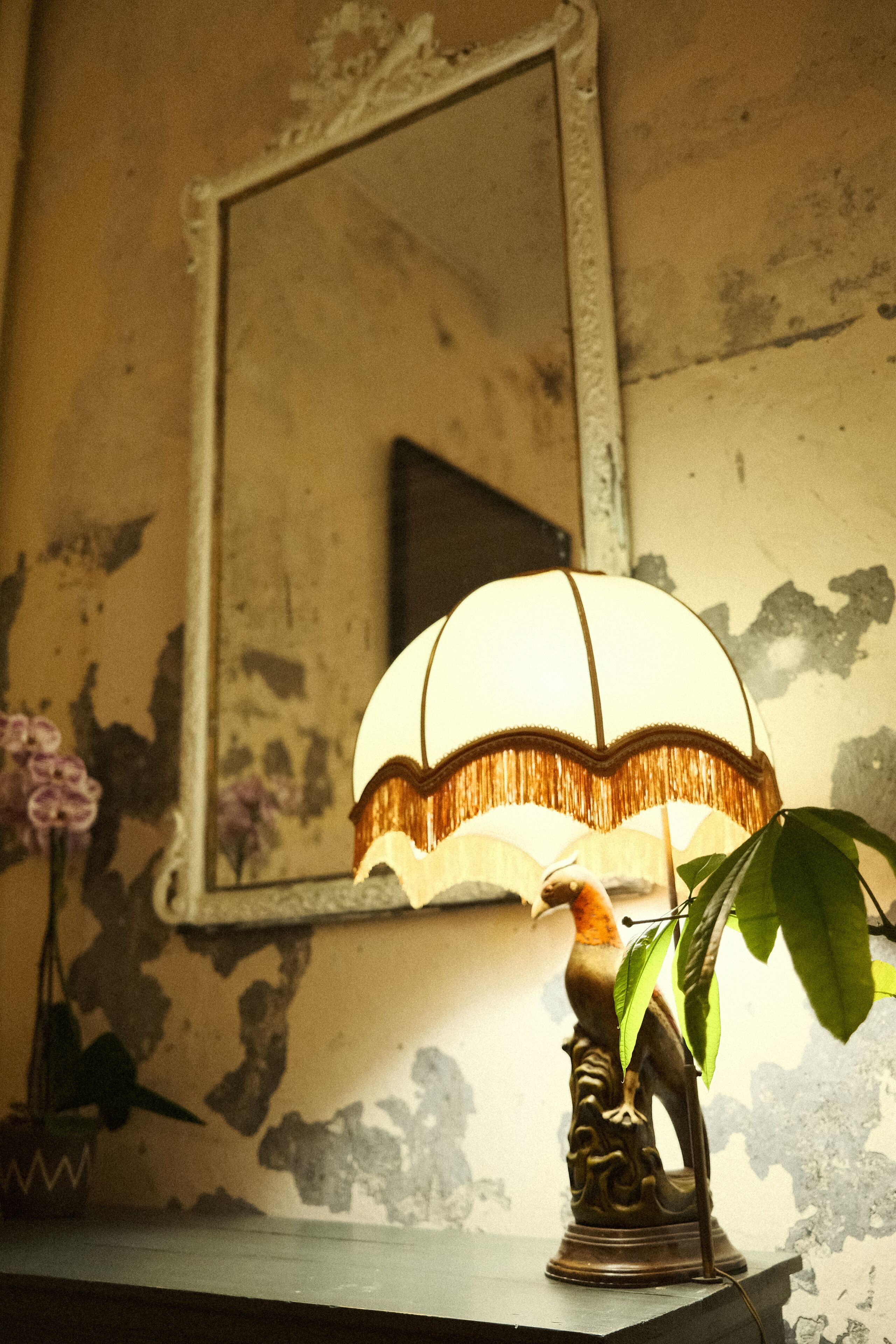 Foto - Maison Victoire, boutique hôtel - Pointe-à-Pitre