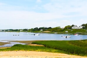 Beach - Sunny, Cape-style home with a game room, yard, firepit, & washer/dryer (Chatham)