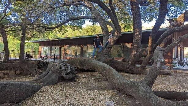 Un edificio rústico con un porche cubierto, rodeado de árboles grandes y un sendero de grava.