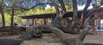 Cliffside  - Rock Hounders' Paradise