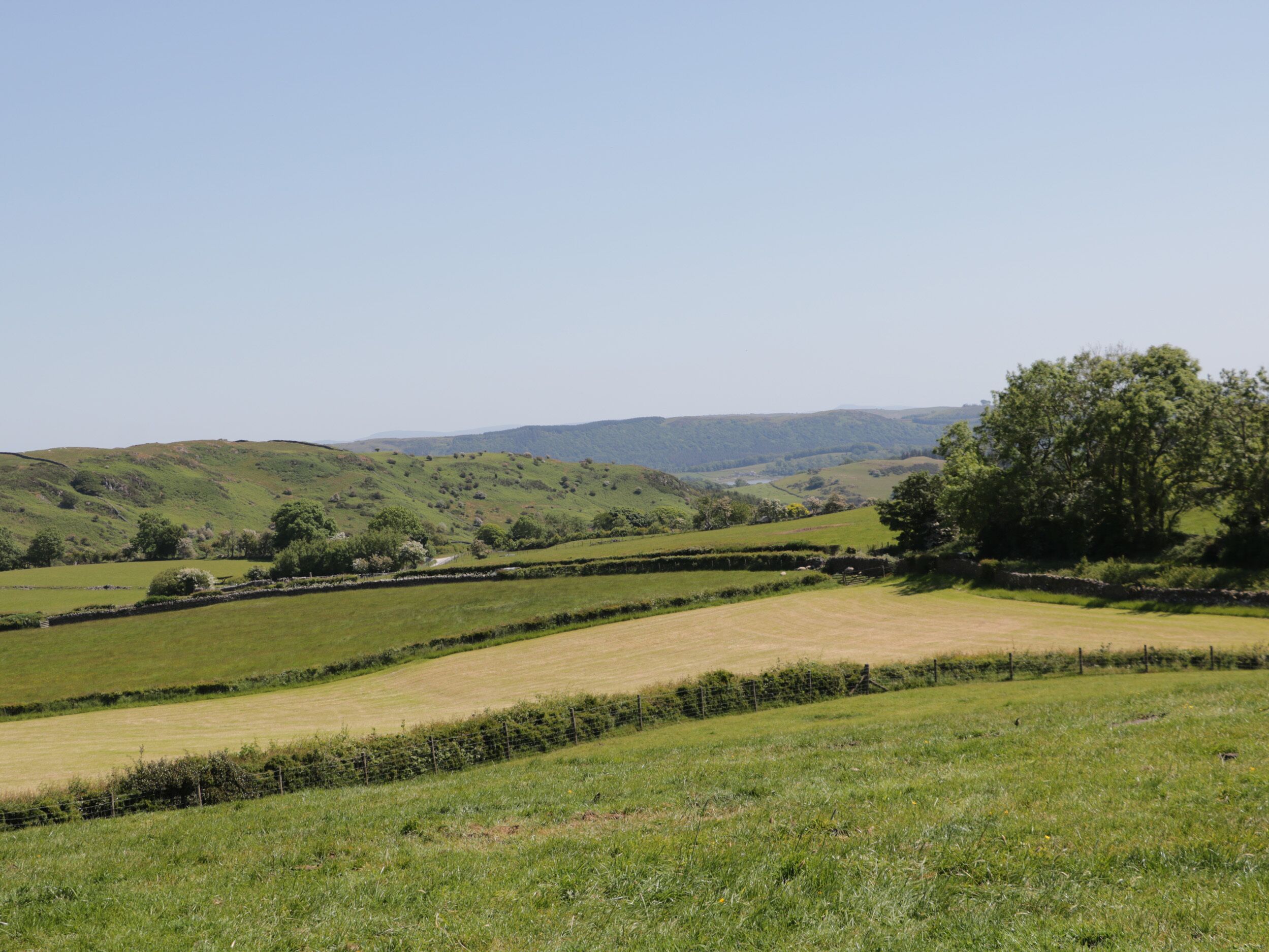 Un paysage rural caractérisé par des collines douces, des champs et une ligne d’arbres à l’horizon.