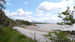 Een kustlandschap met een zandstrand, grasvelden en bomen.