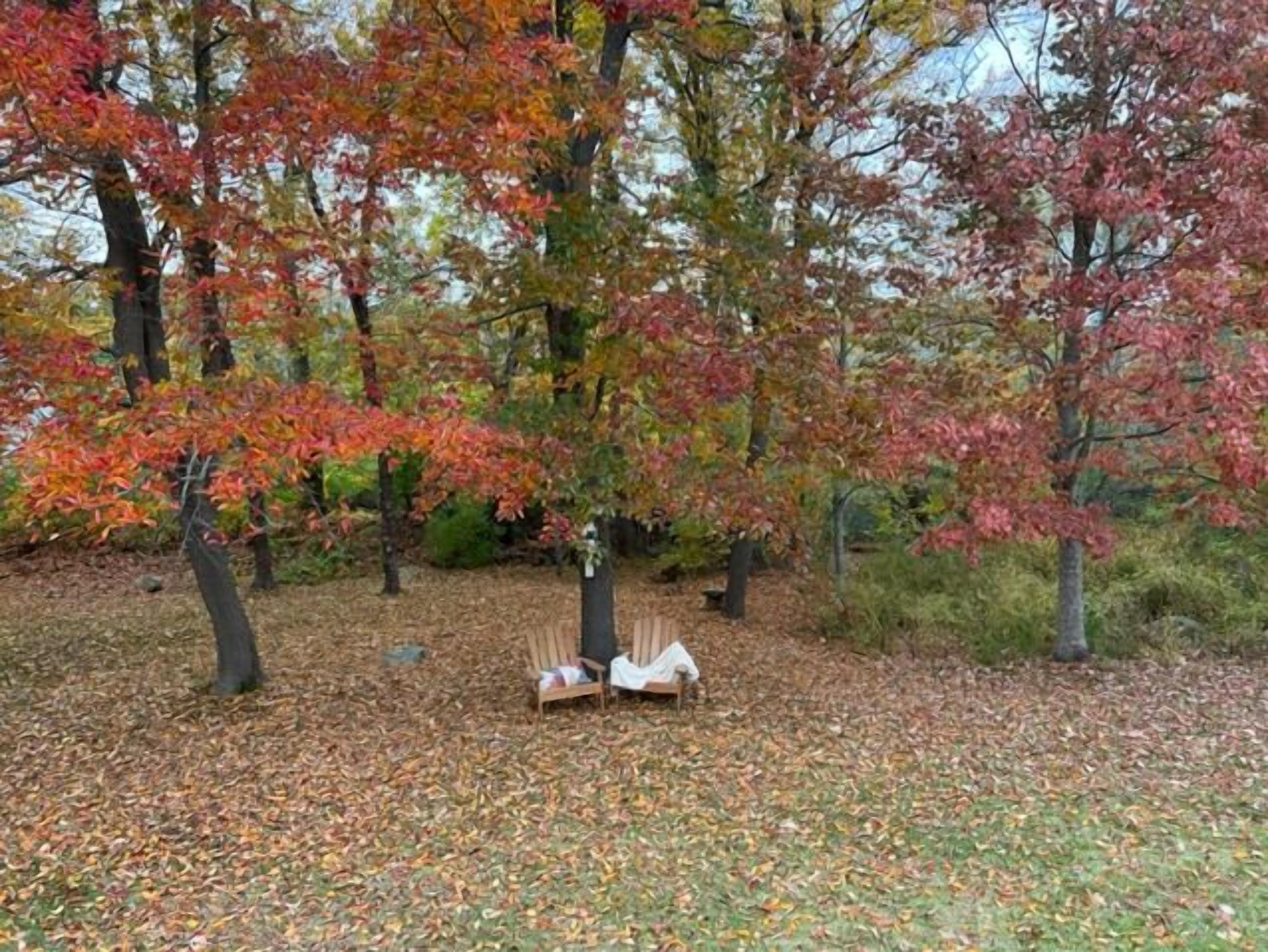 A park with trees displaying autumn colors, a bench, and a small table.