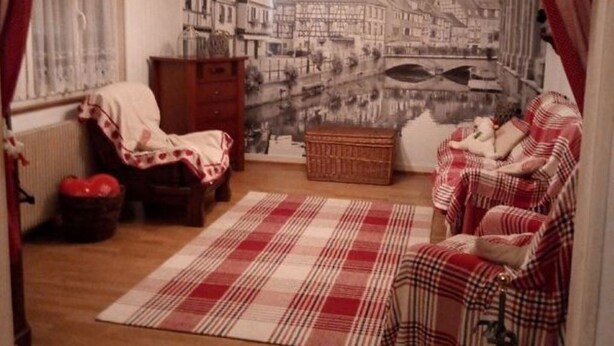 A cozy living room with a cityscape mural, a wooden floor, a plaid rug, and a red and white checkered sofa. - Vacation home rental near Colmar (Wickerschwihr)