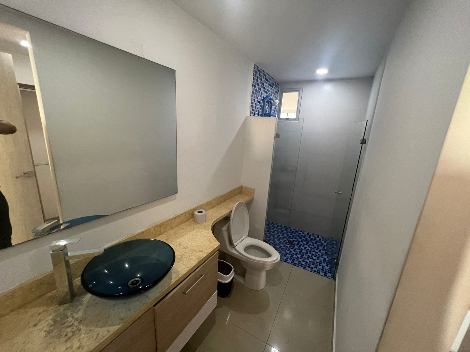 A bathroom with a blue-tiled shower, a white toilet, a sink with a blue basin, and a mirror.