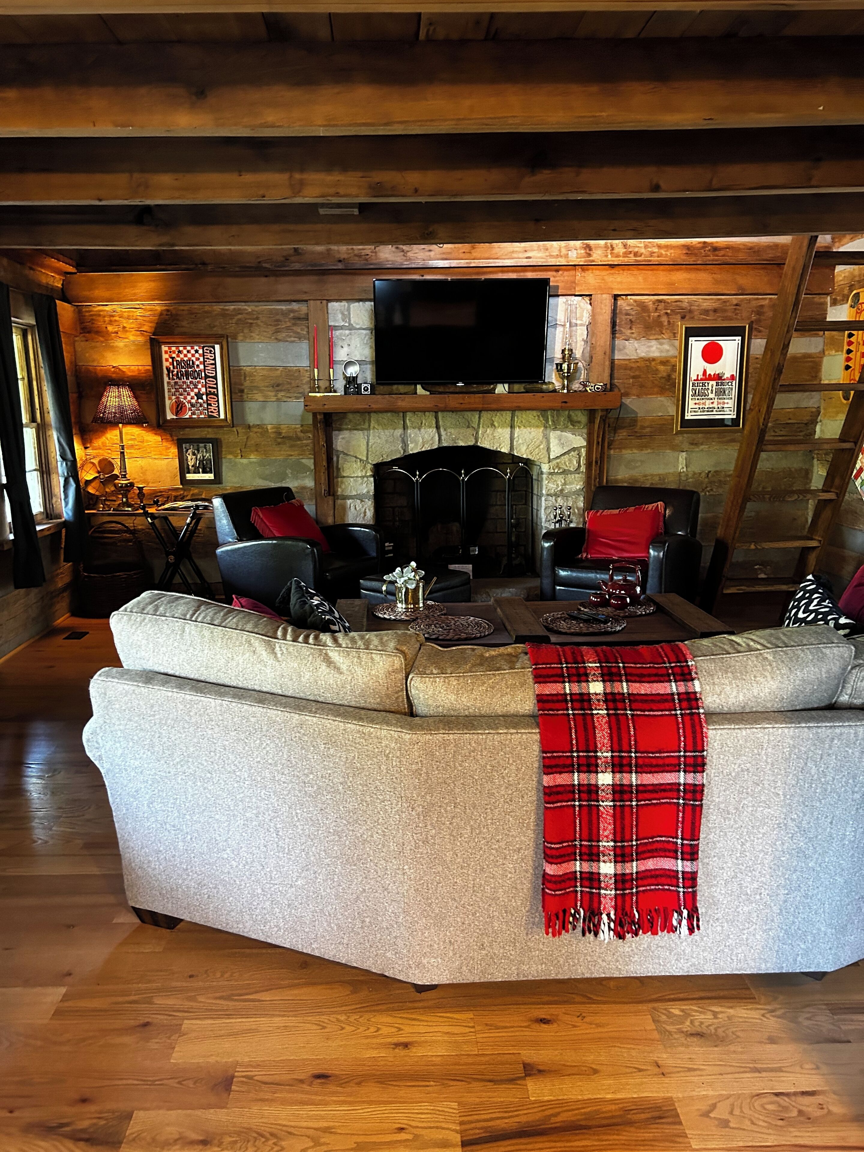 Smart TV, fireplace, books