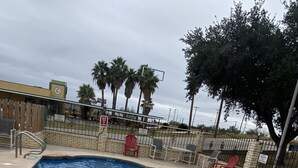 Una piscina con un cartel de 'NO DIVING', sillas de descanso y palmeras al fondo.