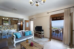 Een smart-tv, een open haard, boeken en een computerscherm