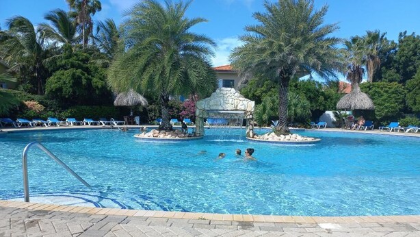 Una piscina con lettini e palme.