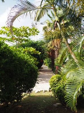 Property grounds - Appartement Kas di Bami op Tropisch Resort met Zwembad (Willemstad)