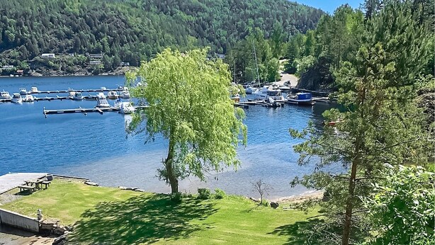 A marina with boats docked, surrounded by lush greenery and hills in the background.