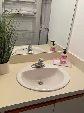 Dusche, Haartrockner, Handtücher