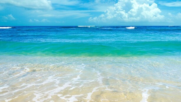 A beach with clear turquoise water and a sandy shore. - "Sea Drift" Steps to the White Sand Beaches! Close to Restaurants, Coffee Shops! (Navarre)