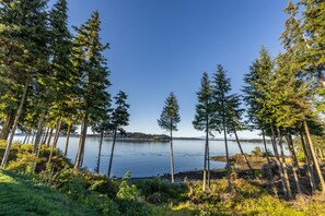 A serene lakeside view with tall trees and a calm water body.