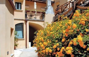 Experience the tranquil courtyard, surrounded by lush greenery and a blend of traditional and modern architecture.