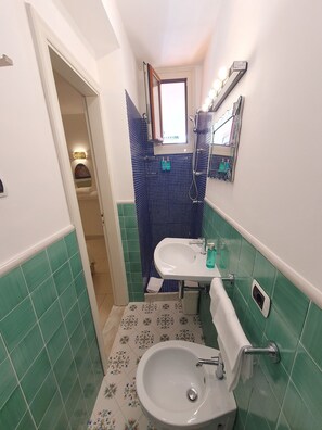 Douche, baignoire Ă jets, sĂšche-cheveux, bidet
