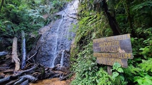 Un letrero con texto en un idioma extranjero, una cascada y follaje circundante.