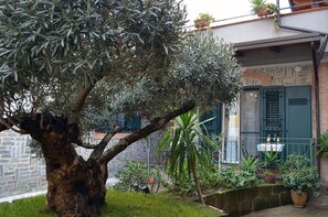 Detalle exterior
