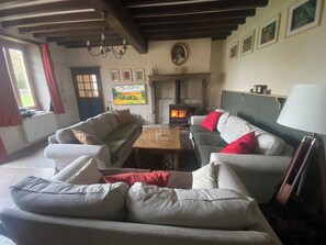 Televisión, chimenea, libros