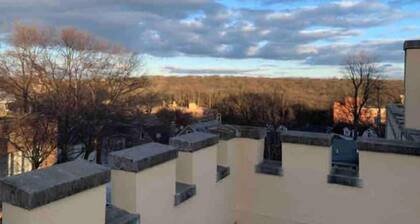 Bronx Castle Penthouse Sunny 1BR