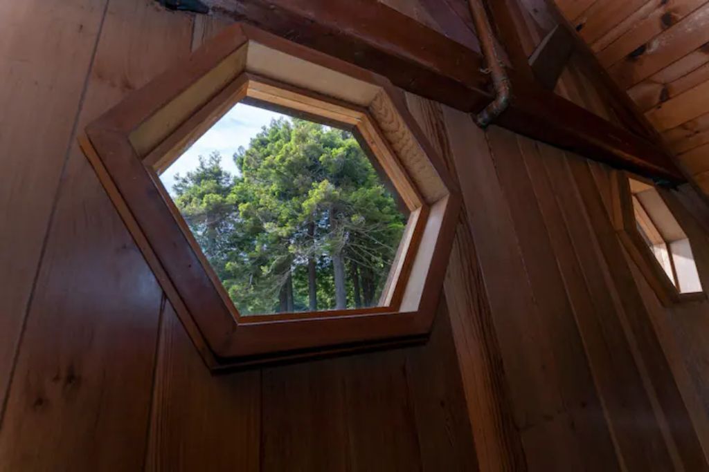 A wooden interior with a hexagonal skylight revealing a forested area outside.