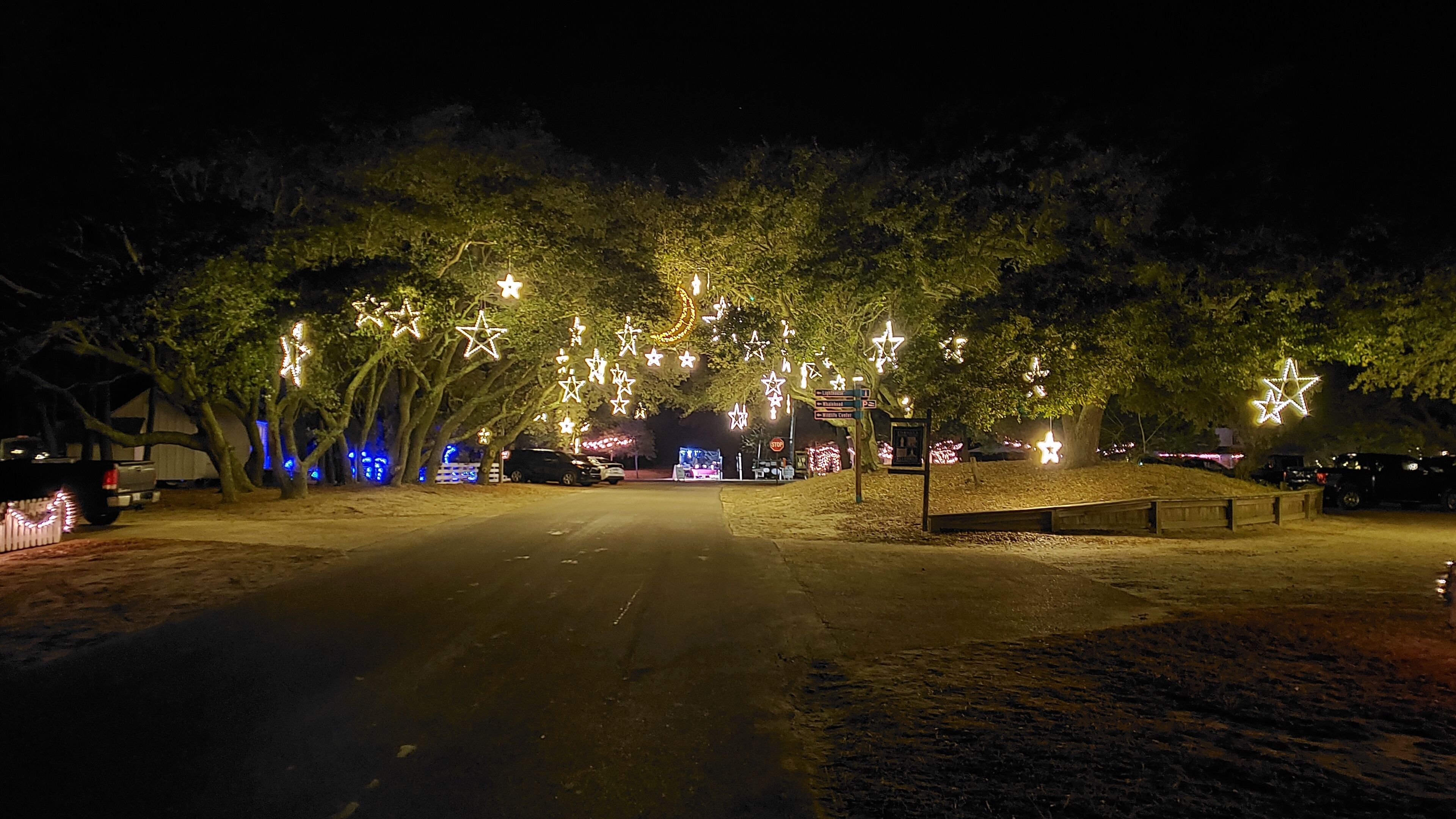 A road lined with trees decorated with star-shaped lights.