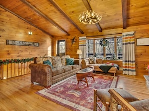 TV, fireplace, video games, DVD player