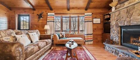 TV, fireplace, video games, DVD player