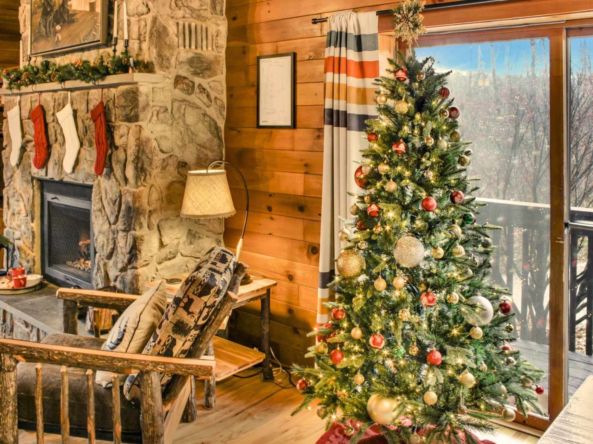 Télévision, cheminée, jeux vidéo, lecteur de DVD