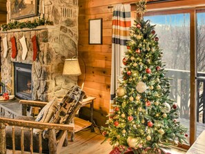 Televisión, chimenea, videojuegos y reproductor de DVD