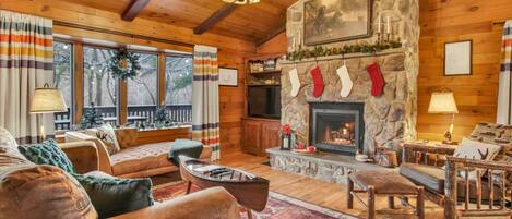 TV, fireplace, video games, DVD player