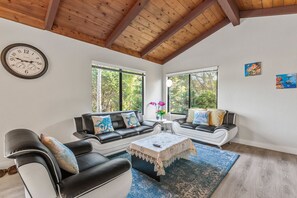 Televisión, chimenea y libros 