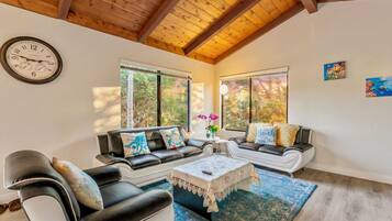 TV, fireplace, books