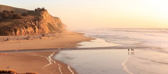 Coastal Retreat - 3,000 sqft, Pets Ok, Walk 2 Beach & Tidepools, Surf, see Seals