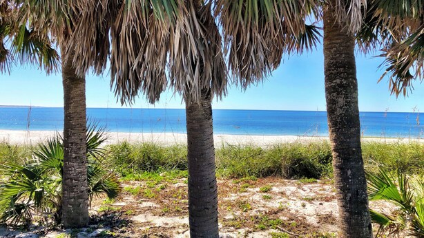 A beach with palm trees and a clear view of the ocean. - WATERSHED COTTAGE, MODERN 3BD/2BA HOME W/POOL & FIRE PIT! PET FRIENDLY! (Mexico Beach)