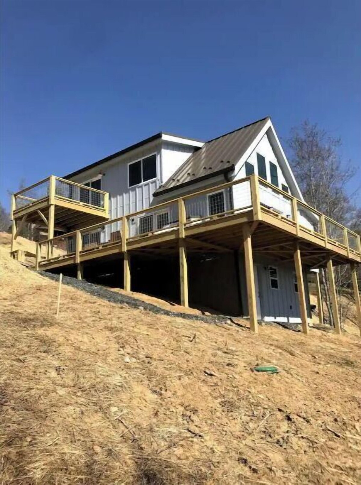 Imagen de perfil del propietario o de la propietaria