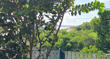 Villa F3 in the heart of the island, with swimming pool and Creole garden