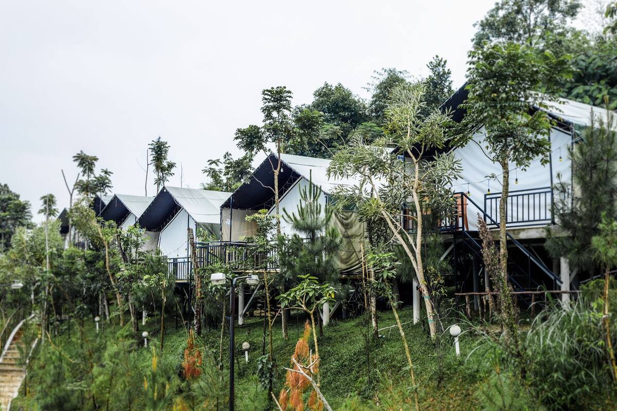 A row of white cabins with black roofs, surrounded by lush greenery and trees.