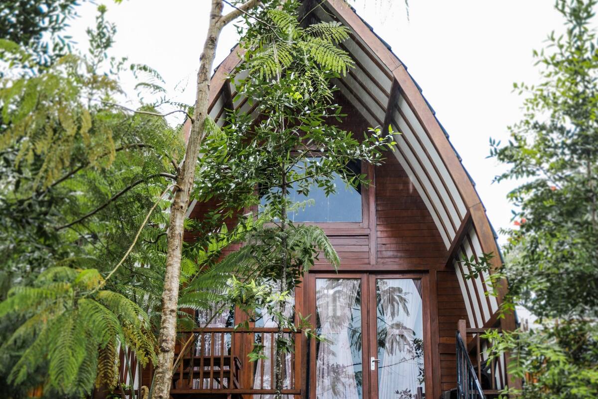A wooden house with a curved roof, surrounded by lush greenery and a staircase leading to a deck.