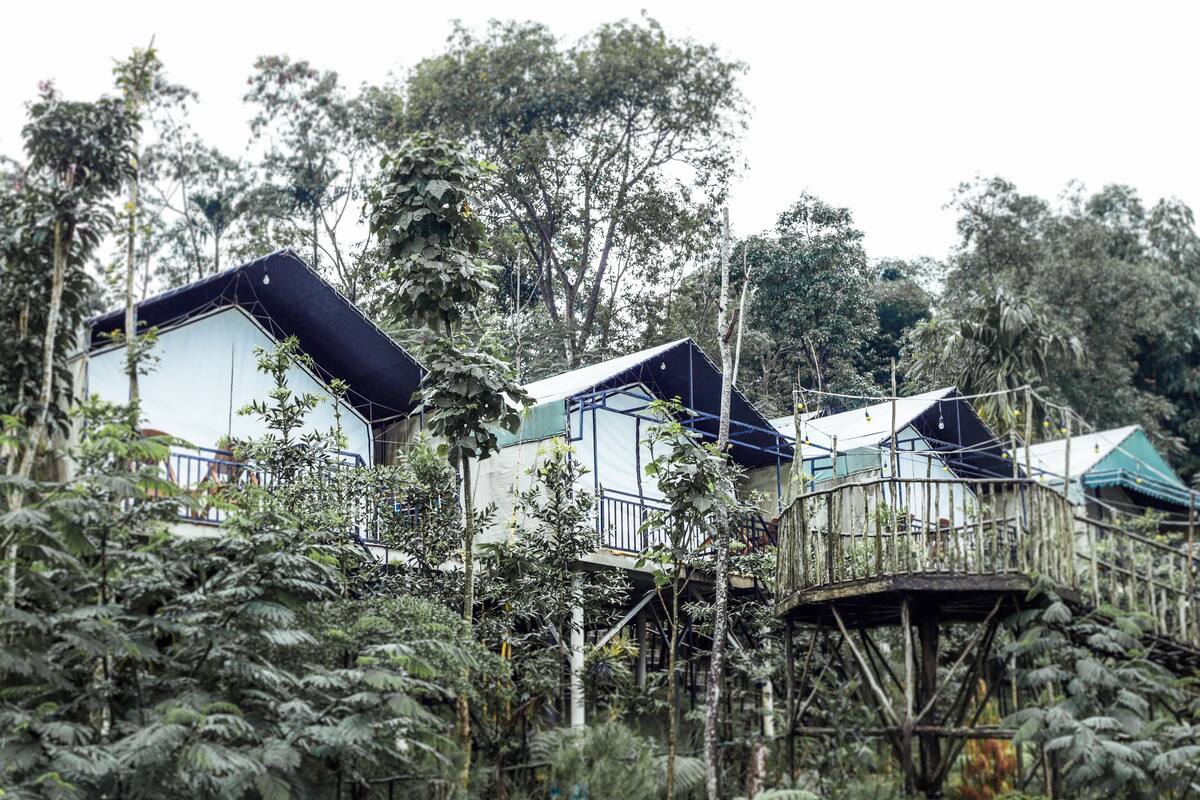 A treehouse-style accommodation with a wooden deck and a small bridge, surrounded by dense foliage.