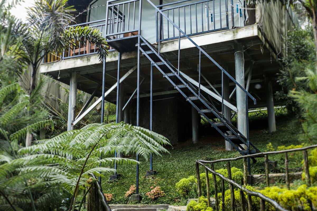 A house with a staircase leading to a balcony, surrounded by lush greenery.