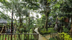 A pathway leading through a lush garden with various plants and trees. - Miracle Signature Hills (Ciater)