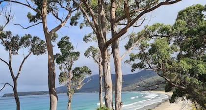 Hidden gem on the waters edge - 15 minutes from Hobart airport.