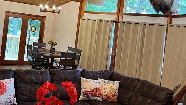 A cozy living room with a leather sofa, a chandelier, and a deer head mounted on the wall. - Cabin for up to 10 People ! (Tobyhanna)