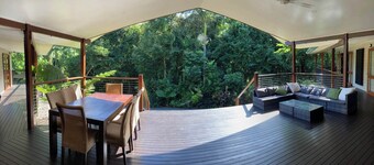 ‘The Canopy’ The magic of the rainforest