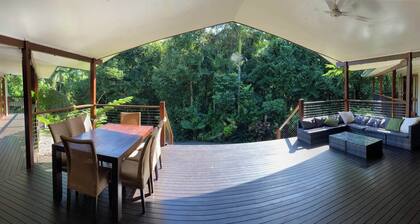 ‘The Canopy’ The magic of the rainforest