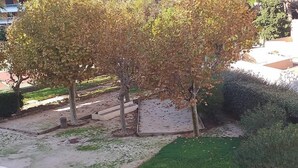 A courtyard with trees, a paved area, and a grassy section. - Le Lavandou, Cabin studio to rent for 4 people, sea view, direct access to the beach (LE LAVANDOU)