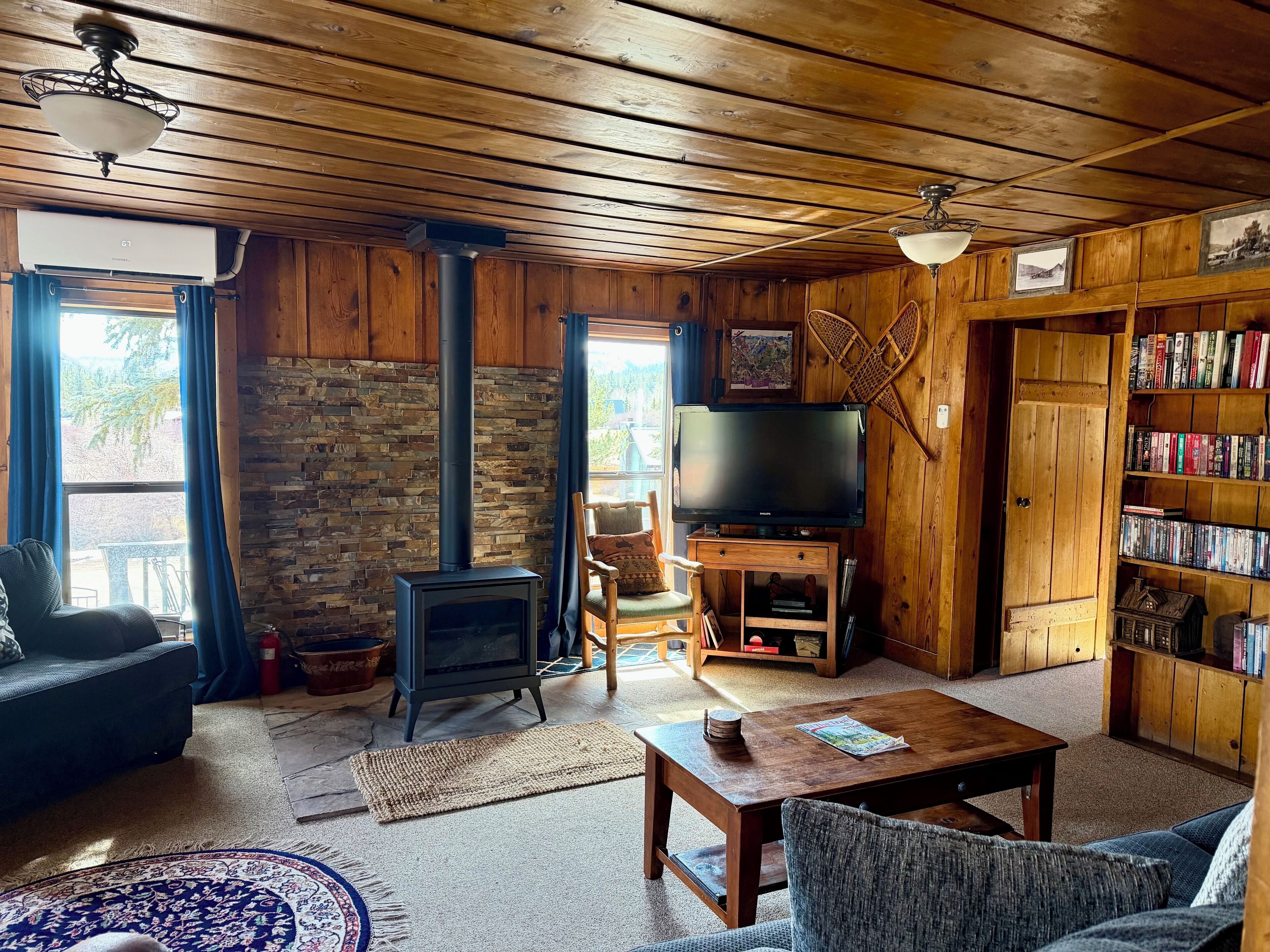 TV, DVD player, books, video library